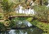 Best of Cochin - Munnar - Thekkady - Kumarakom - Alleppey - Kovalam - Kanyakumari Pond inside the resort